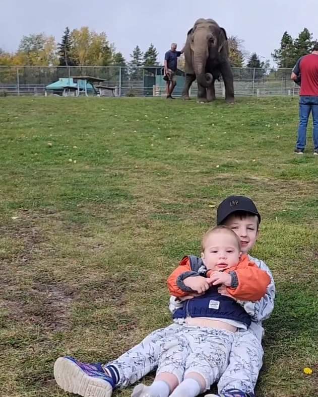 Dr. Tanti's family at the zoo with an Elephant